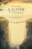 A Sliver of a Chance cover