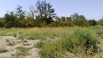 terrain à Arles (13)