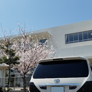 アルファード ANH20W