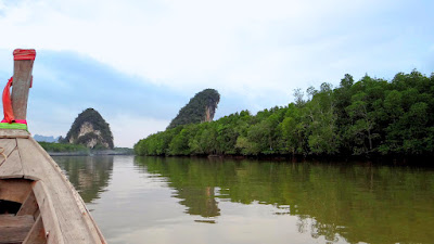 The Mangrove Boat Tour in Krabi