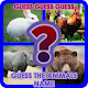 Download GUESS GUESS GUESS THE ANIMALS NAME For PC Windows and Mac 3.2.7z