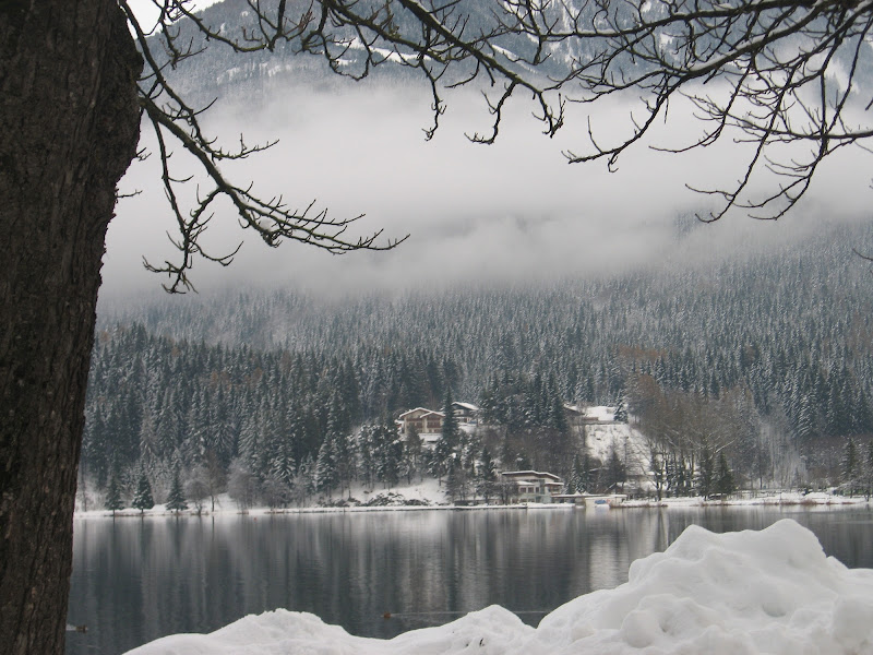 ..paesaggio innevato di Gilda Bellicoso