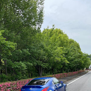 フェアレディZ Z33