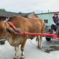 銀記手擀刀切牛肉麵