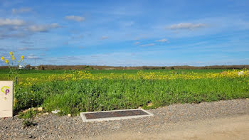 terrain à Bourgneuf (17)