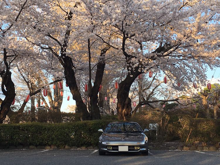 MR2の桜と愛車・コロナウイルスに負けるな・sw20 mr2・夕暮れ時に関するカスタム事例の投稿画像1枚目