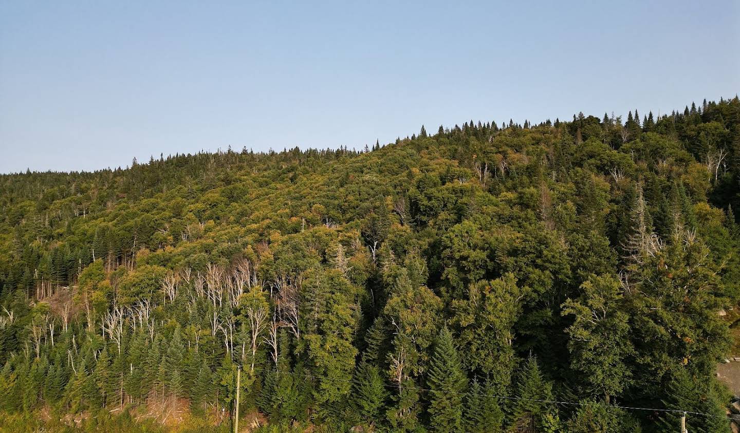 Terrain Saint-Donat