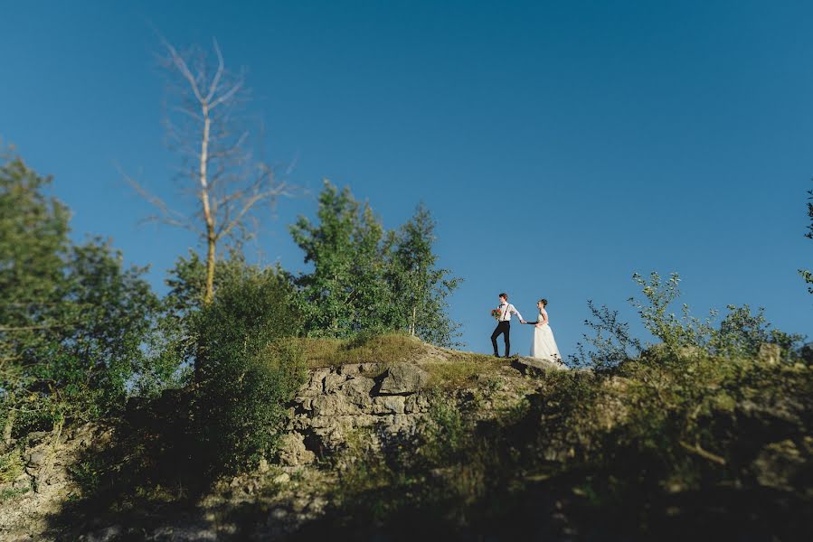 Fotógrafo de bodas Aleksandr Mozheyko (aleksandrnet). Foto del 23 de agosto 2015