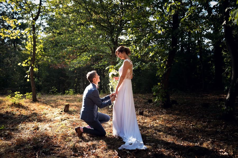 Photographe de mariage Laurent Brisson (brisson). Photo du 2 mai 2019