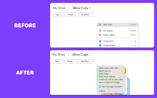 Allow Copy & Enable Right Click Preview 2