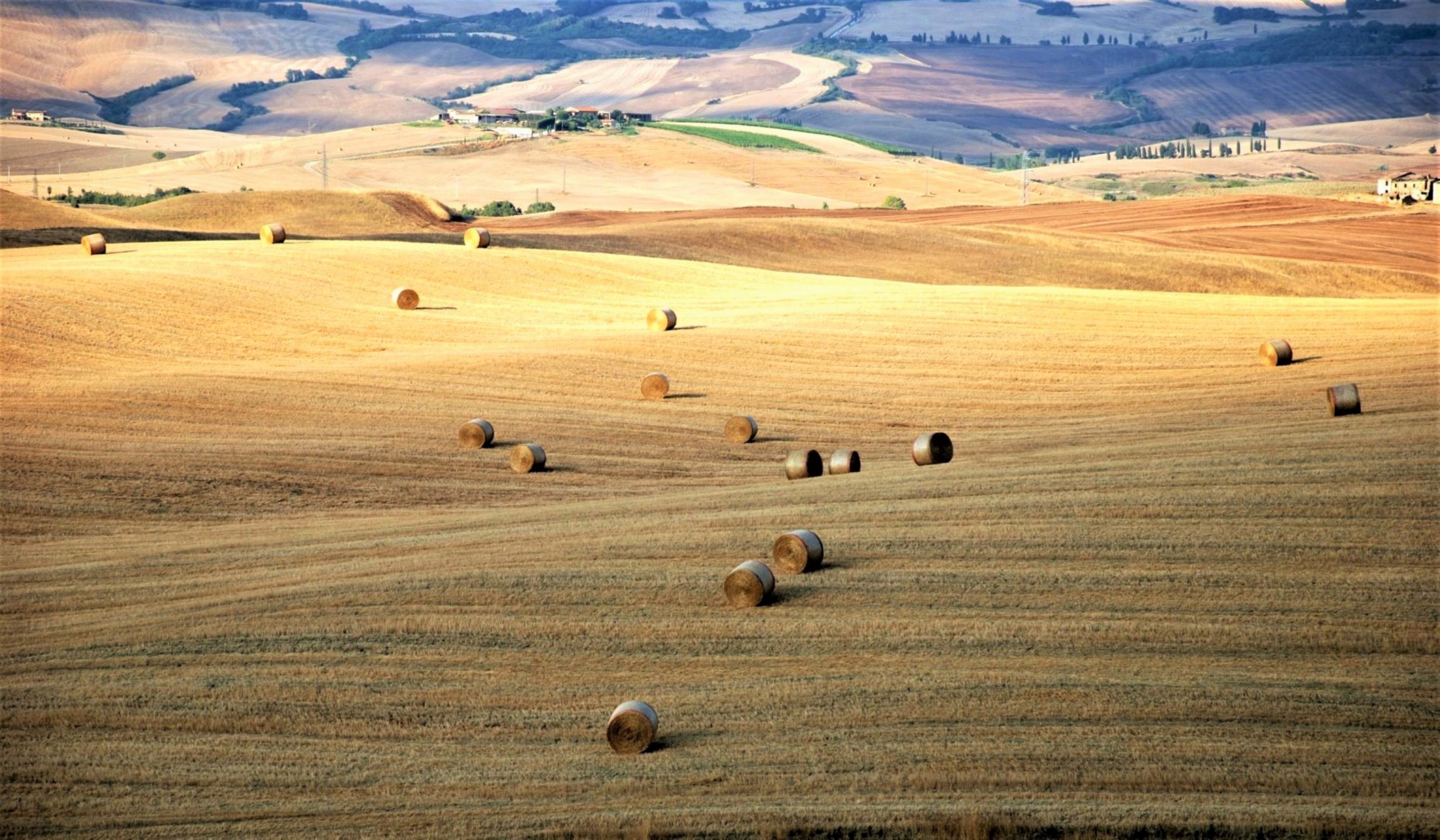 Colori di Giugno in Toscana di MORENO ANTOGNOLI