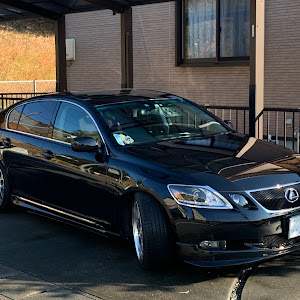 GS GRS191