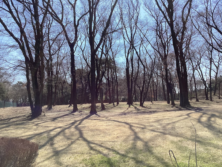 コペンの日本の四季を楽しみましょう！春爛漫！最高だね！・春爛漫！季節を楽しみましょう！最高だね！・たわい無い事柄に感謝！最高だね！・たわい無い平凡な暮らしにこそ幸せ有り！最高だね！・己で楽しさを生み出す事こそ幸せなり！に関するカスタム事例の投稿画像223枚目