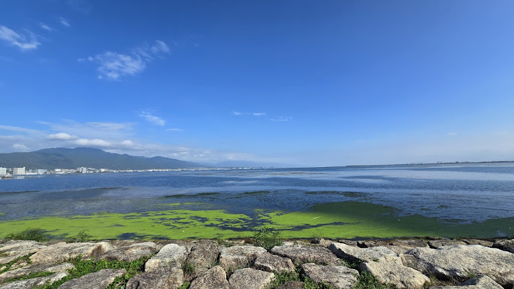 ノートeパワーの滋賀国体・琵琶湖・京都・プロパイロットに関するカスタム事例の投稿画像9枚目