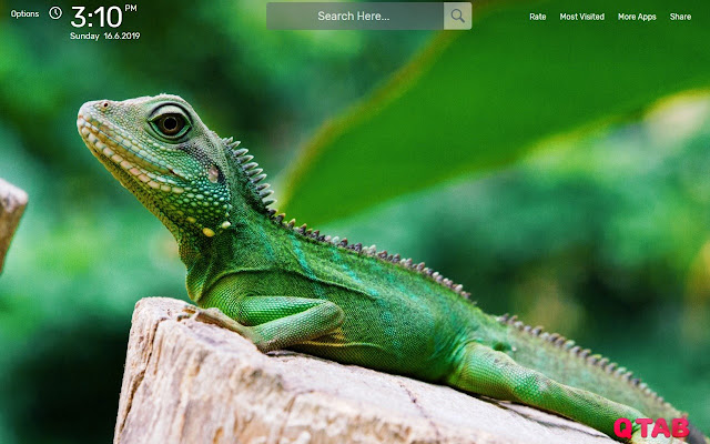 Lizard Wallpapers New Tab Theme