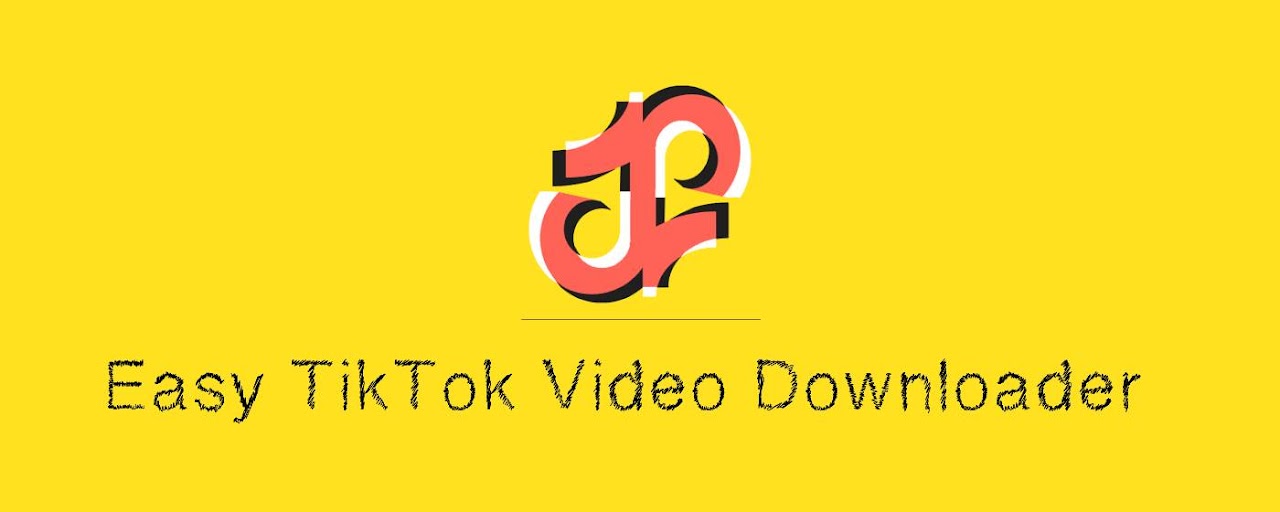 Easy TikTok Video Downloader Preview image 2