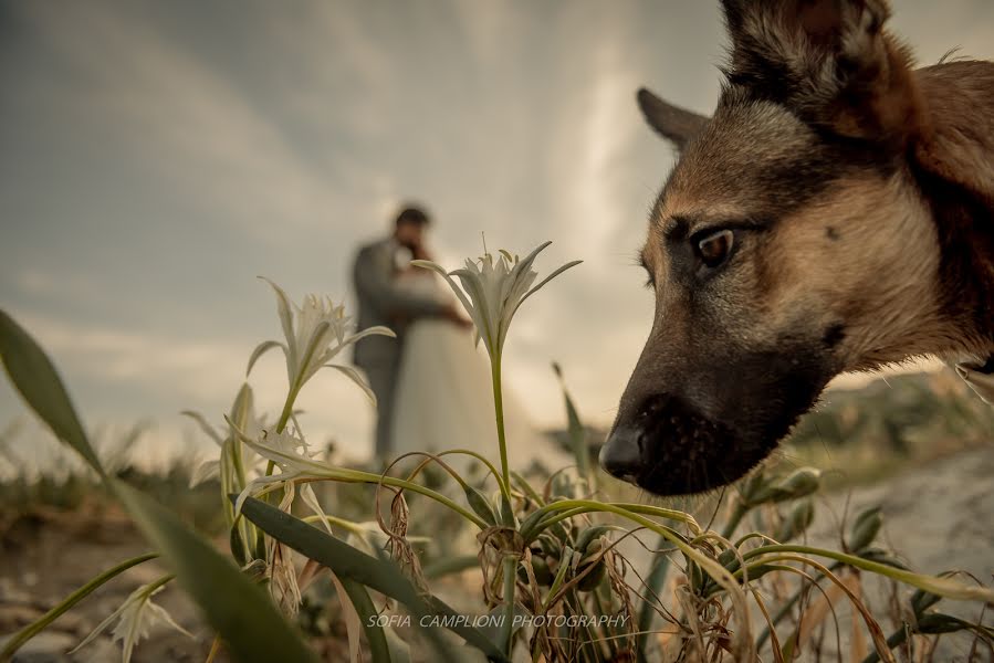 Vestuvių fotografas Sofia Camplioni (sofiacamplioni). Nuotrauka 2023 sausio 11