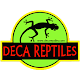 Download DECA REPTILES For PC Windows and Mac