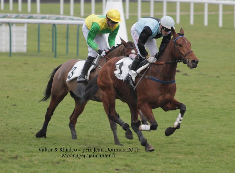 Photos Auteuil 1-03-2015 2Y9We-Xr8zPtDdUOTDF8h_BN8X9tRtAFTZ03W7rHX4tz=w800-h589-no