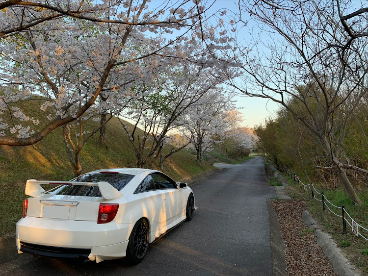 セリカのVillager Bakery・4月もよろしくお願い致します🌸・夕日に輝くあなたの愛車・桜と愛車・桜シーズン開幕に関するカスタム事例の投稿画像2枚目