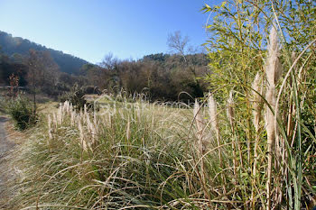 terrain à Salernes (83)