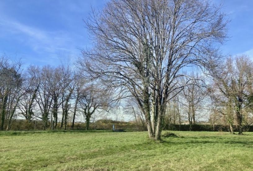  Vente Terrain + Maison - Terrain : 750m² - Maison : 170m² à Margaux (33460) 