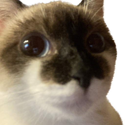 かのん。