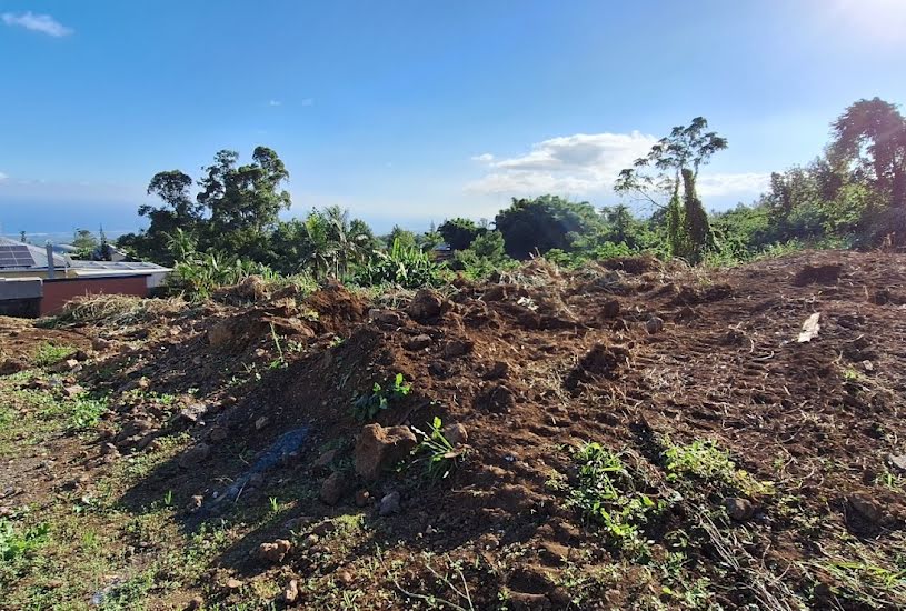  Vente Terrain à bâtir - 1 043m² à Le Tampon (97430) 