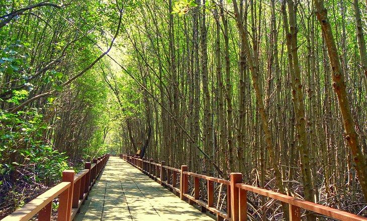 C:\Users\Rezi\Documents\praise\animation\thailand-hua-hin-top-attractions-pranburi-mangrove-forest.jpg