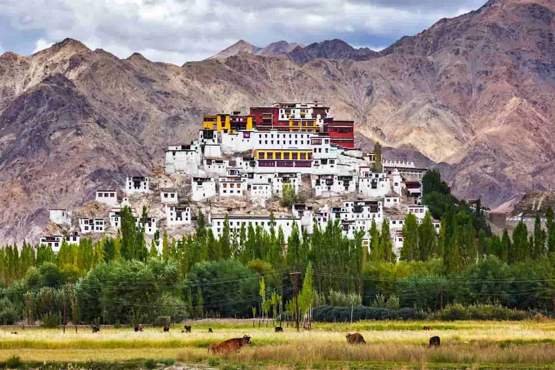 india-summer-destinations-Ladakh