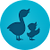 Storypark for Educators icon