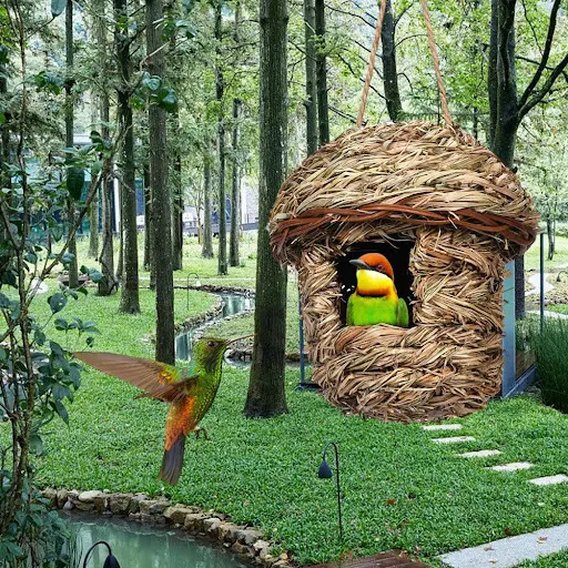 Durable Bird Nest Comfortable Hummingbird House Hand Woven Resting Place Hammock Hanging Hummingbird Nest