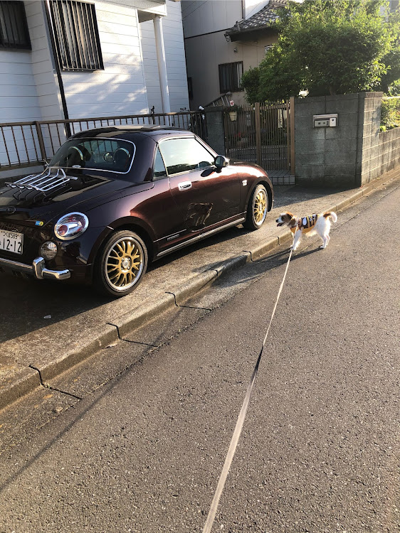 コペンの愛犬はラパンさんが投稿したカスタム事例の投稿画像9枚目