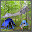 Camping Ideas Download on Windows