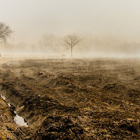 Il respiro di Madre Terra di 