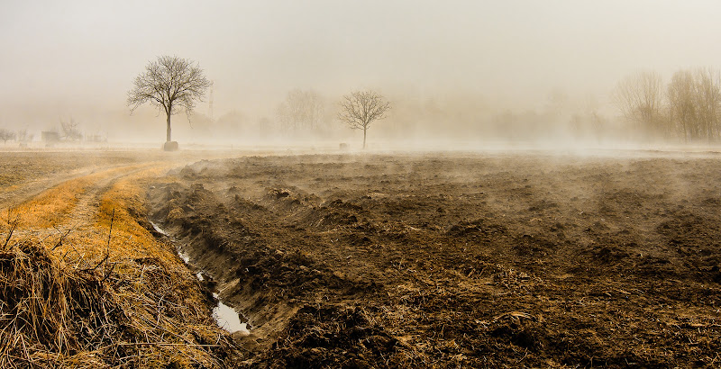 Il respiro di Madre Terra di Barbara Surimi