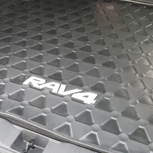 RAV4 MXAA54