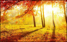 Autumn Fall Wallpapers Custom NewTab small promo image