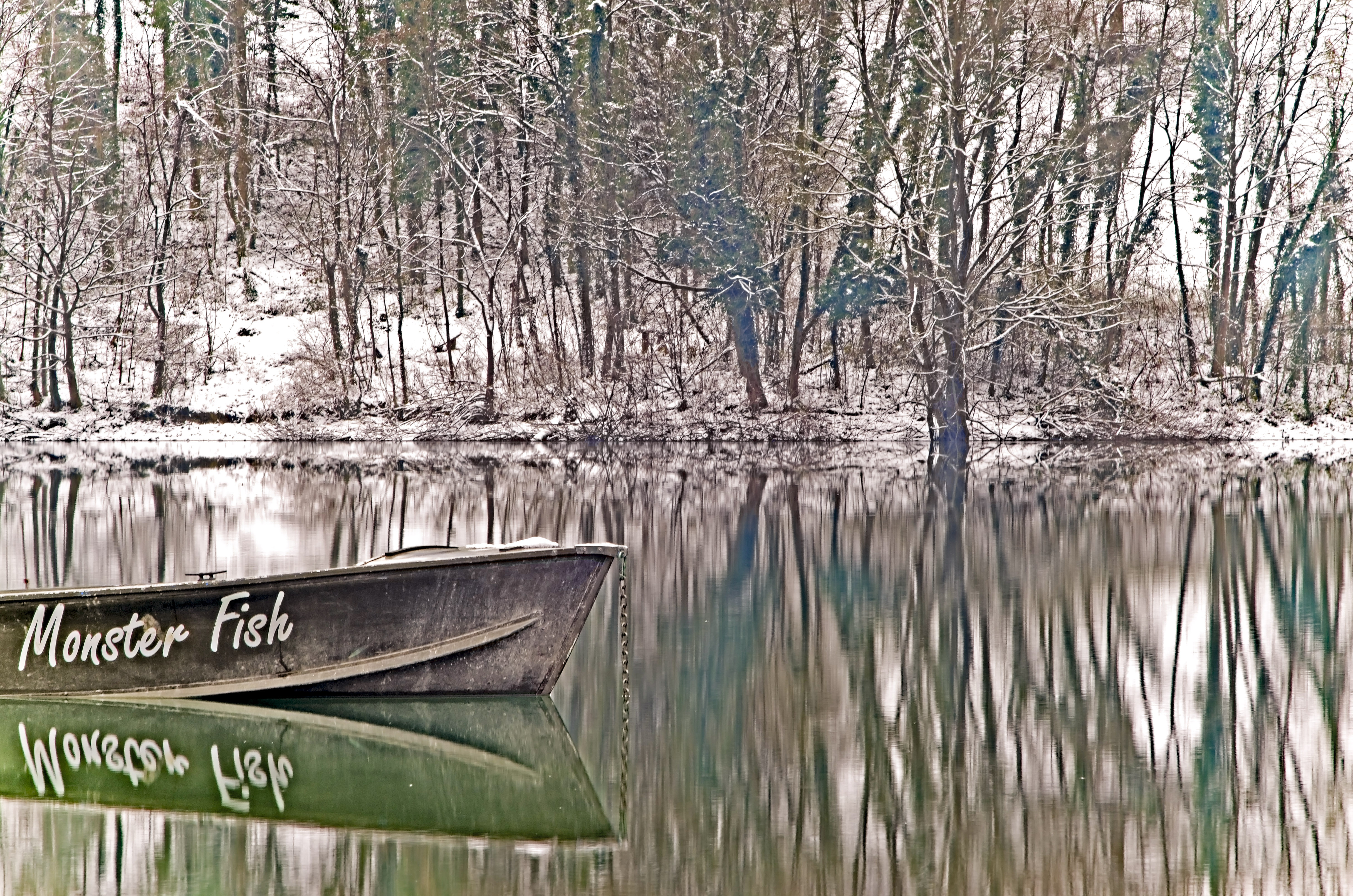 Monster Fish di alessandro_bello