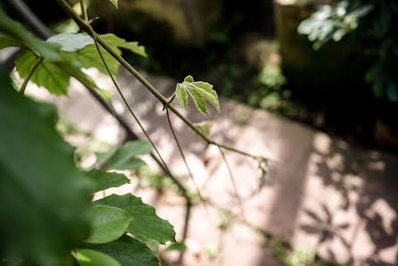 Fotograful de nuntă Anna Shadrina (ashan). Fotografia din 17 august 2016