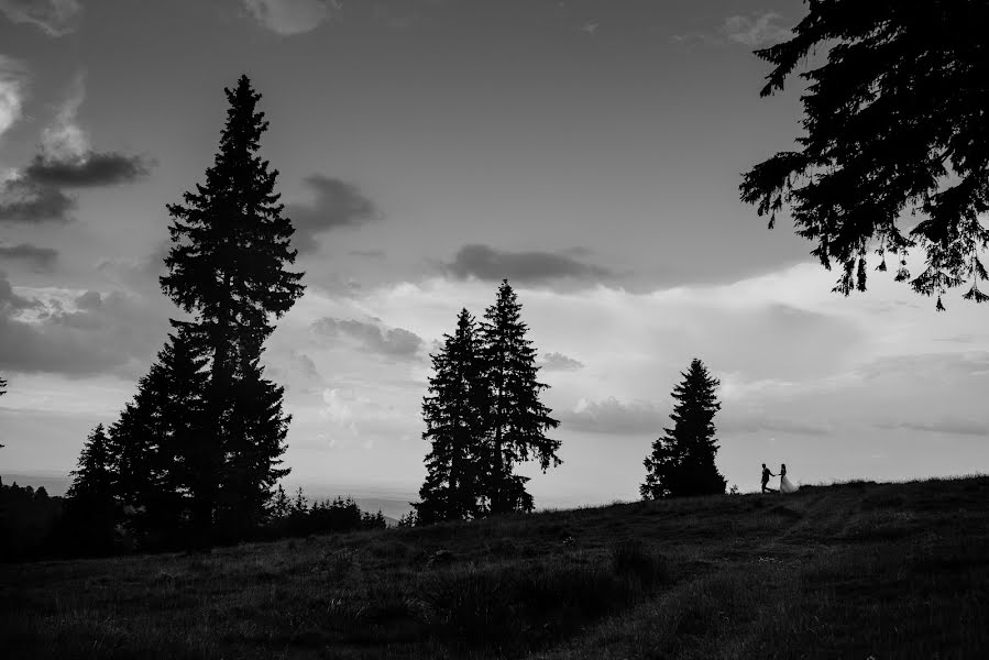 Fotograful de nuntă Lupascu Alexandru (lupascuphoto). Fotografia din 1 septembrie 2019