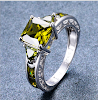 miniatures image - 1