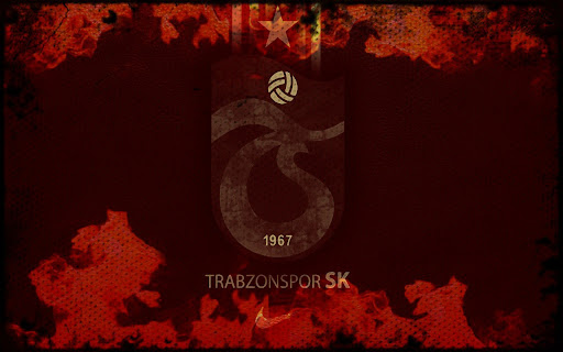 Trabzonspor 2013 V16