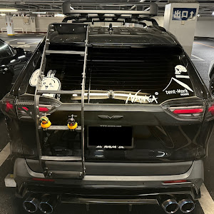 RAV4 MXAA54