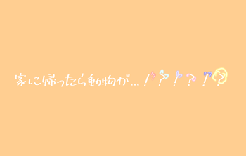 家に帰ったら動物が...！？！？！？