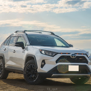 RAV4 MXAA54