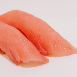 Tuna (Maguro)