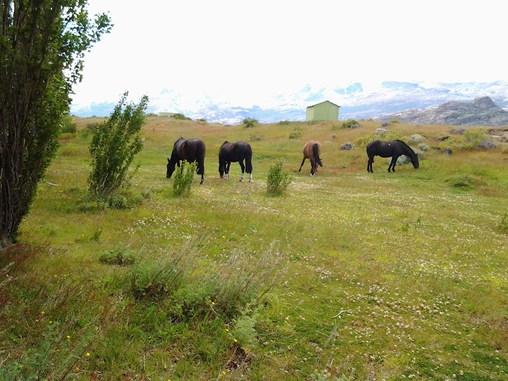 El Calafate - CUADERNO DEL VIAJE  a Argentina en 13 dias (5)