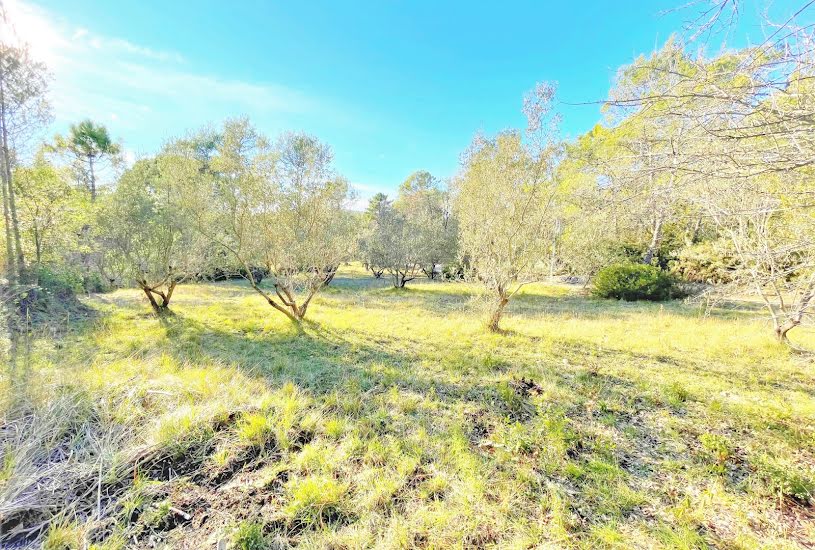  Vente Terrain à bâtir - 804m² à Fréjus (83600) 