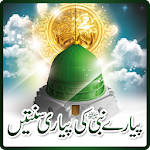 Pyaray Nabi ki Pyari Sunateen Apk